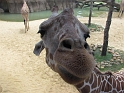 Kids_NancyVisit_DZoo-NPics (13)